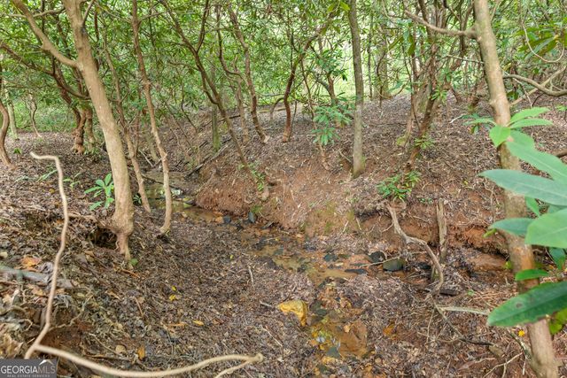 3103 Highway 197, Clarkesville, GA 30523