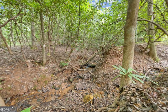 3103 Highway 197, Clarkesville, GA 30523