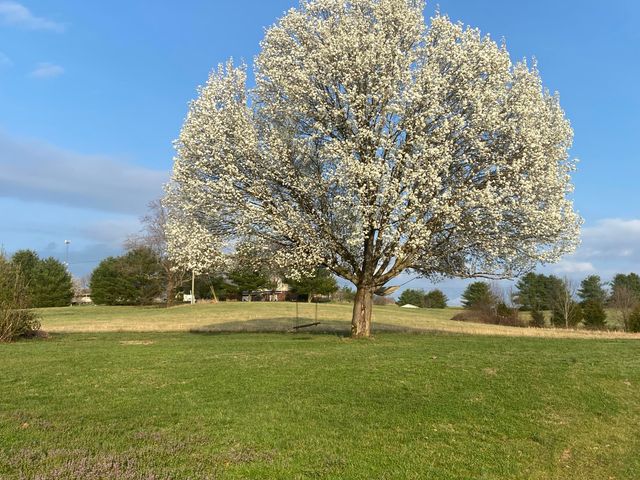 220 Deerwood Drive, Science Hill, KY 42553