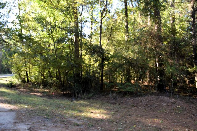 TBD Forester, Livingston, TX 77351