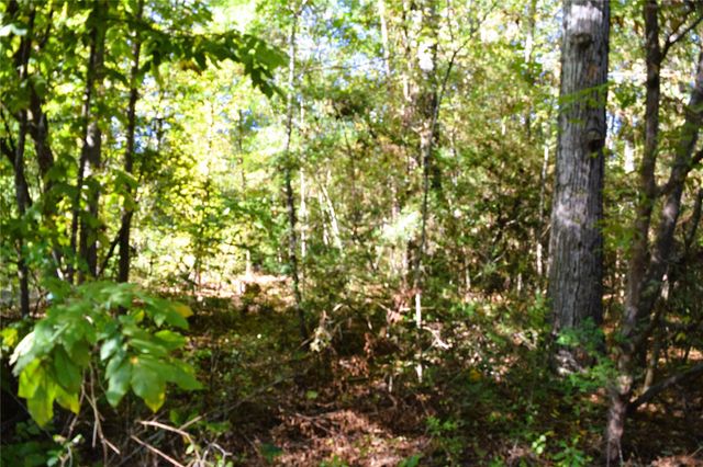 TBD Forester, Livingston, TX 77351