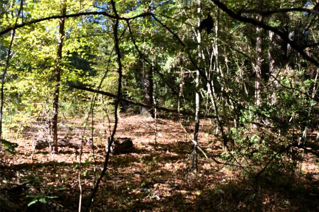 TBD Forester, Livingston, TX 77351