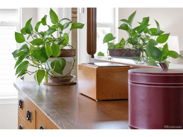 4178 Red Bird Ct, Castle Rock, CO 80108