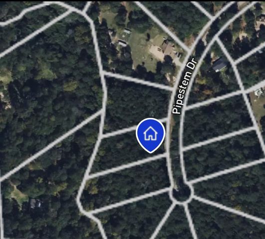 24445 Pipestem Drive, Magnolia, TX 77355
