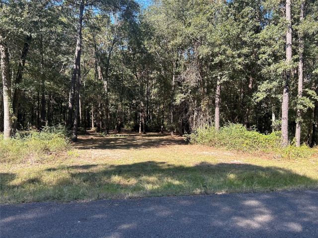 24445 Pipestem Drive, Magnolia, TX 77355