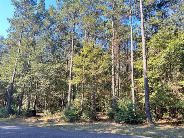 24445 Pipestem Drive, Magnolia, TX 77355