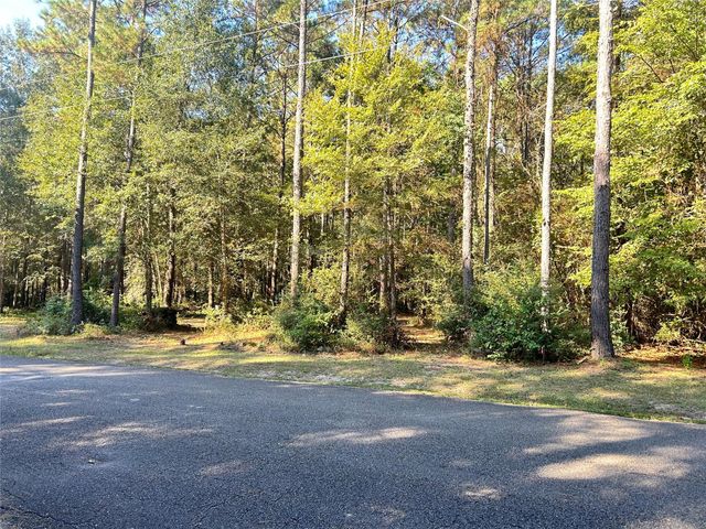 24445 Pipestem Drive, Magnolia, TX 77355