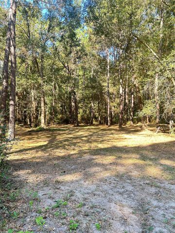 24445 Pipestem Drive, Magnolia, TX 77355