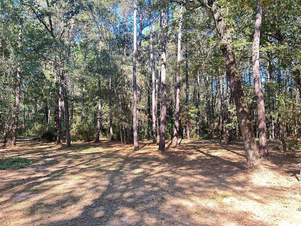 24445 Pipestem Drive, Magnolia, TX 77355
