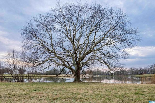 1977 COUNTY ROAD 1518, Cullman, AL 35058