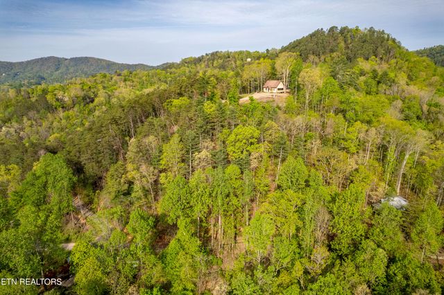 240 Mt. Luke Rd, Townsend, TN 37882