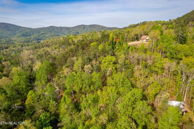 240 Mt. Luke Rd, Townsend, TN 37882