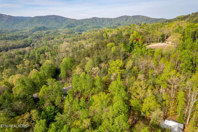 240 Mt. Luke Rd, Townsend, TN 37882