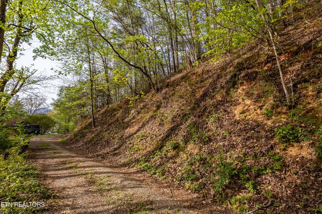 240 Mt. Luke Rd, Townsend, TN 37882
