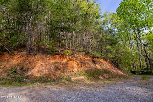 240 Mt. Luke Rd, Townsend, TN 37882