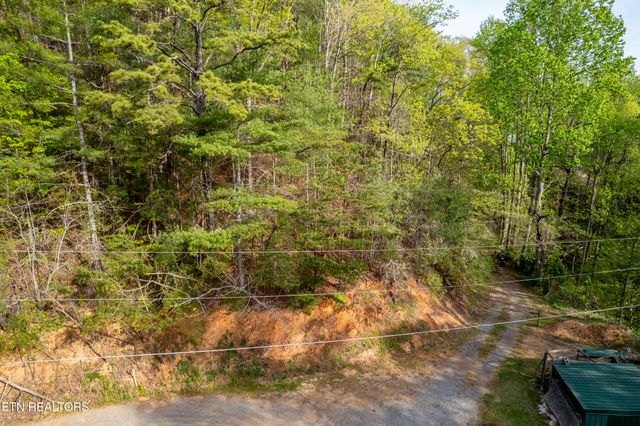 240 Mt. Luke Rd, Townsend, TN 37882