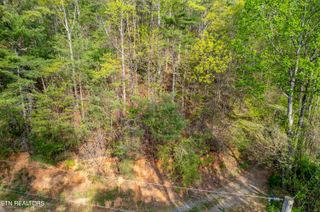 240 Mt. Luke Rd, Townsend, TN 37882