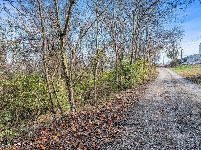 4125 Gravelly Hills Rd, Louisville, TN 37777