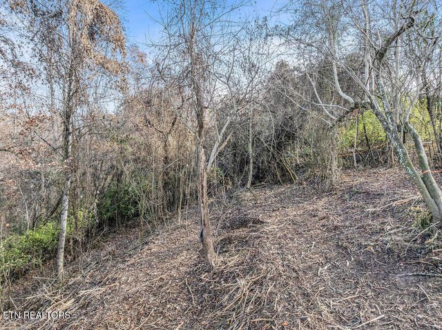 4125 Gravelly Hills Rd, Louisville, TN 37777