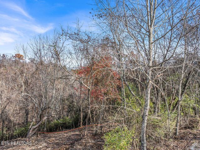 4125 Gravelly Hills Rd, Louisville, TN 37777