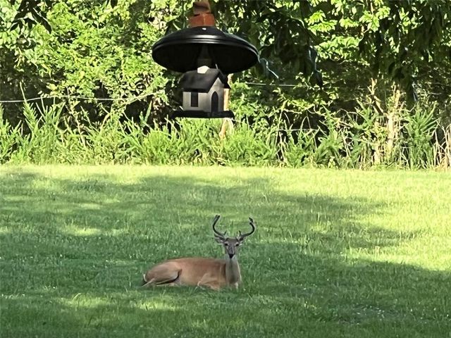 435562 E 1630th Road, Tuskahoma, OK 74574