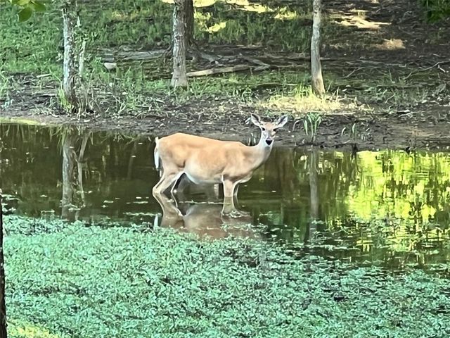 435562 E 1630th Road, Tuskahoma, OK 74574