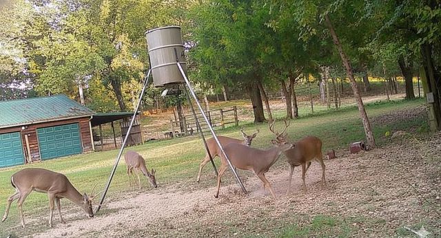 435562 E 1630th Road, Tuskahoma, OK 74574