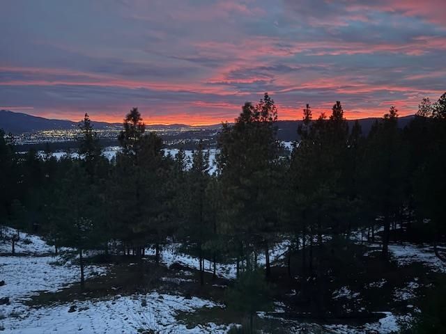 10309 N Lookout View Ln, Newman Lake, WA 99025