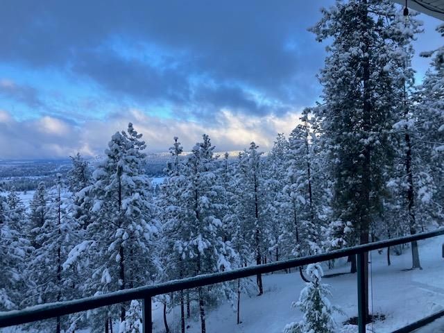 10309 N Lookout View Ln, Newman Lake, WA 99025