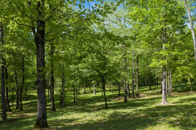 694 Lick Creek Boat Dock Loop, Parsons, TN 38363