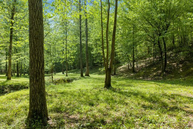 694 Lick Creek Boat Dock Loop, Parsons, TN 38363