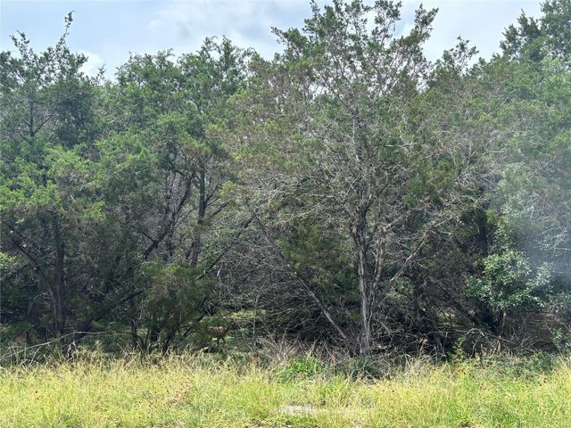 000 TBD DR, Canyon Lake, TX 78133