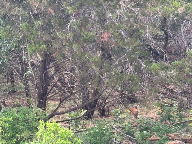 000 TBD DR, Canyon Lake, TX 78133