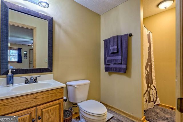 110 Souther Springs Drive, Blairsville, GA 30512