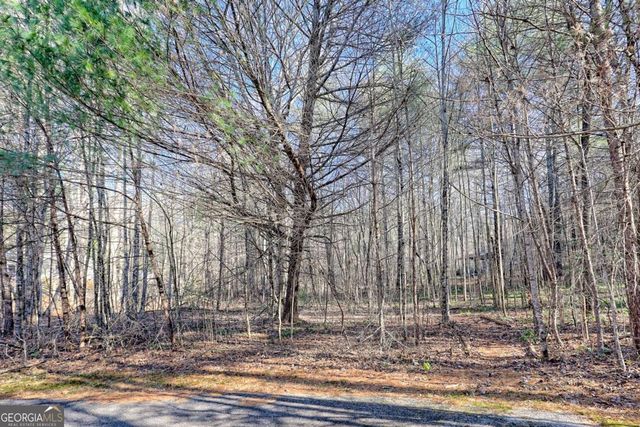 110 Souther Springs Drive, Blairsville, GA 30512