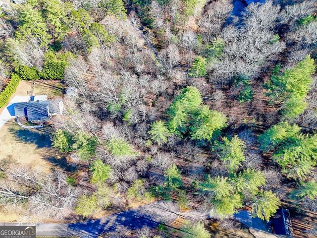 110 Souther Springs Drive, Blairsville, GA 30512