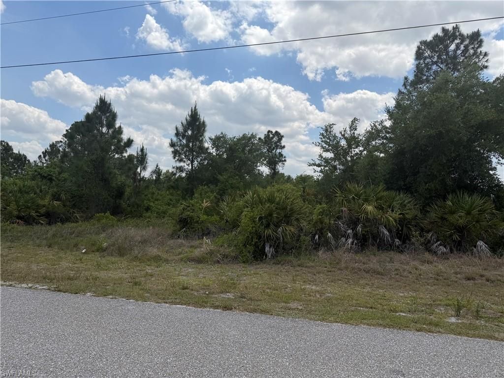 1249 Galileo ST E, LEHIGH ACRES, FL 33974 — photo 3