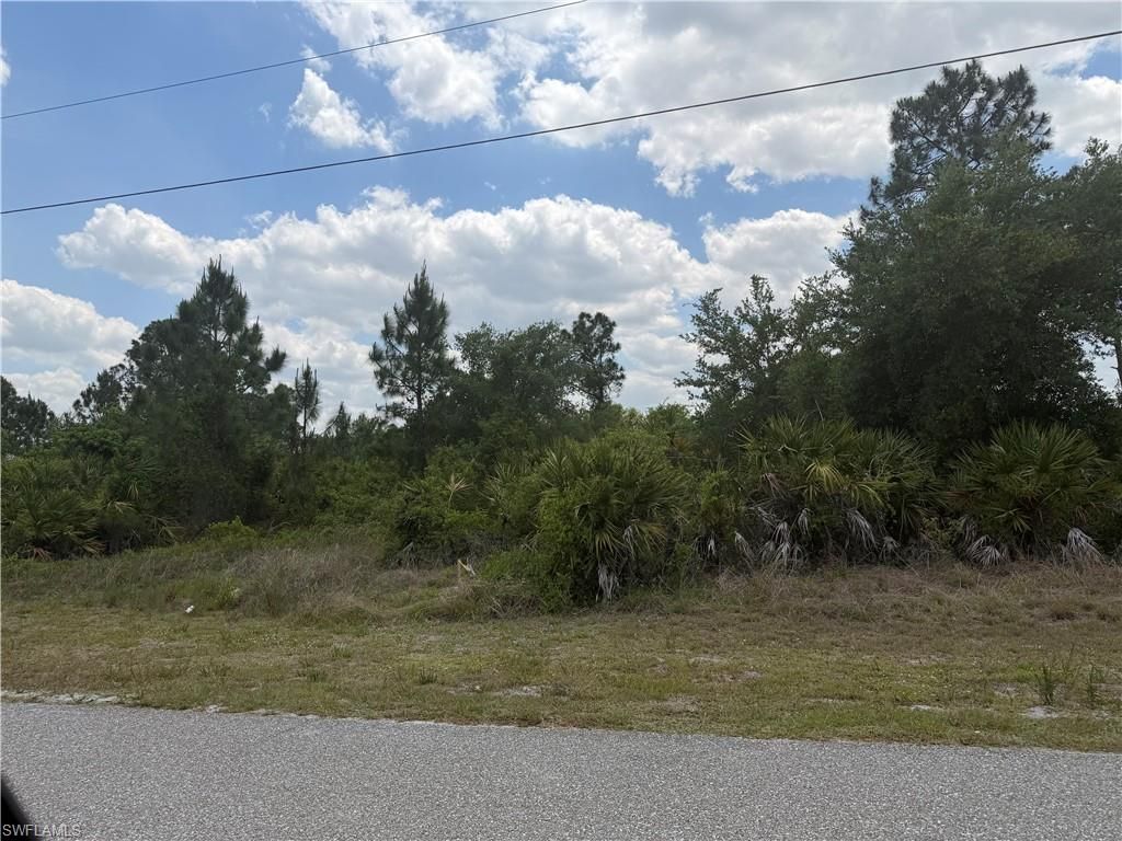 1249 Galileo ST E, LEHIGH ACRES, FL 33974 — photo 4
