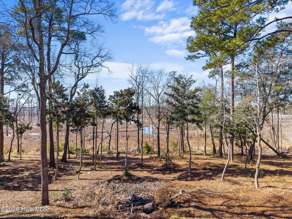 1405 Ness Drive, Castle Hayne, NC 28429