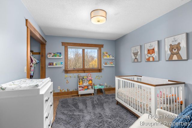 15342 W Almy, Howard City, MI 49329