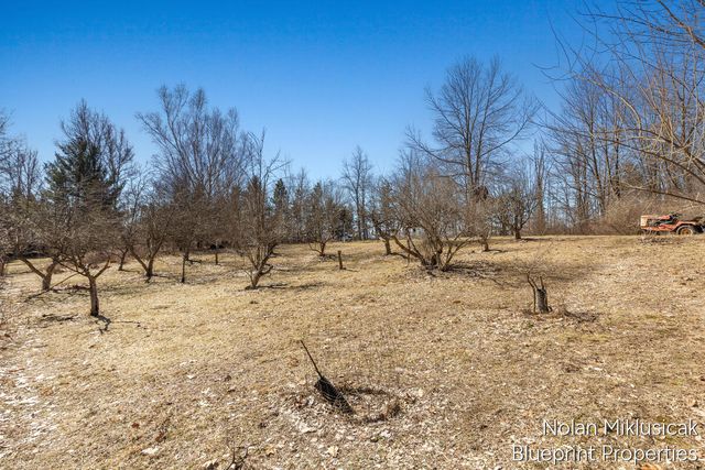 15342 W Almy, Howard City, MI 49329