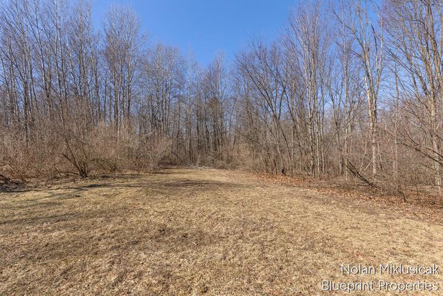 15342 W Almy, Howard City, MI 49329