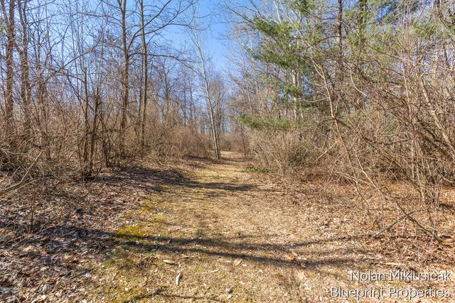 15342 W Almy, Howard City, MI 49329