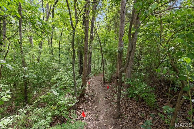 11427 Westhill Drive, Festus, MO 63028