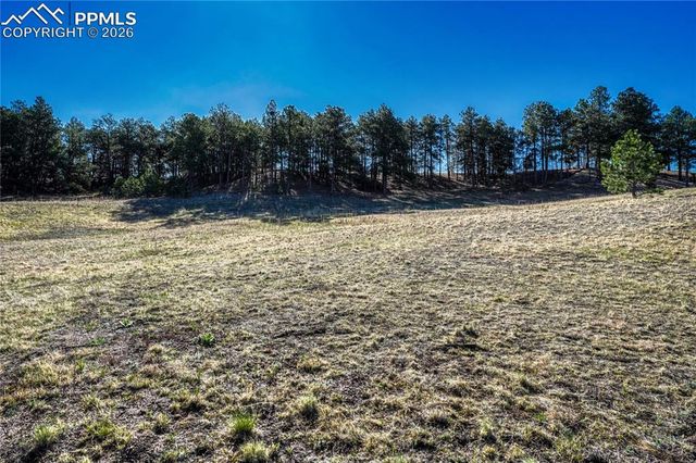 19089 Malmsbury Court, Monument, CO 80132