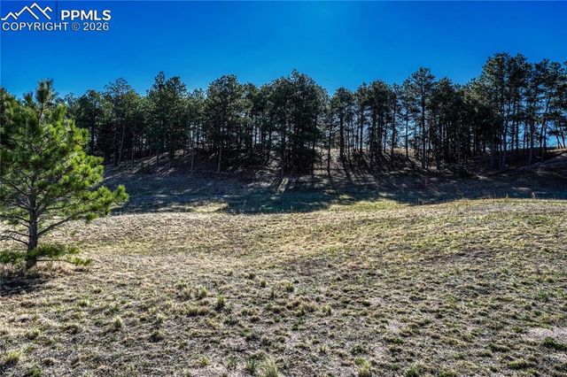 19089 Malmsbury Court, Monument, CO 80132