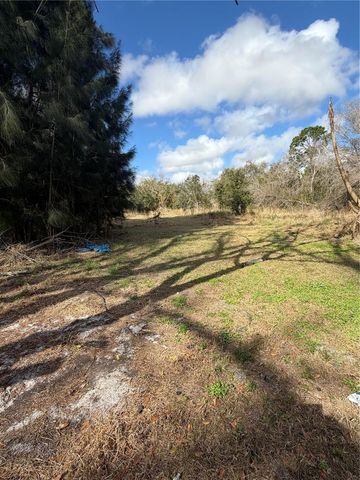 1211 NW EUCALYPTUS AVENUE, Arcadia, FL 34266