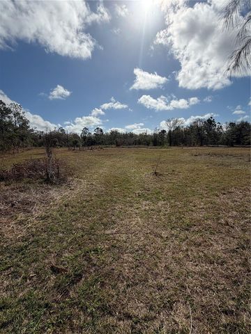 1211 NW EUCALYPTUS AVENUE, Arcadia, FL 34266