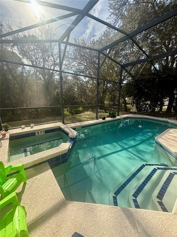 1008 ROYAL RIDGE DRIVE, Davenport, FL 33896