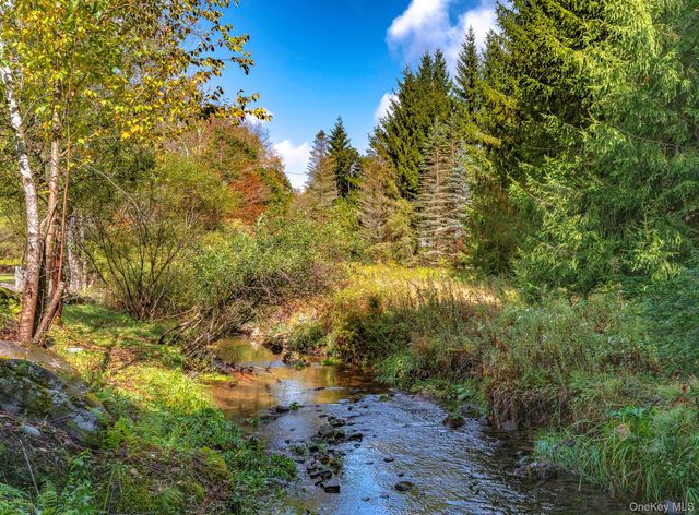 178 Aden Road, Liberty, NY 12754